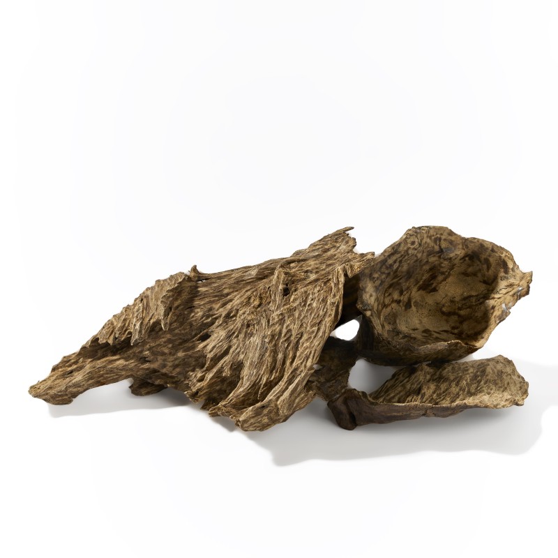 سرنديب ( توله 12جرام )