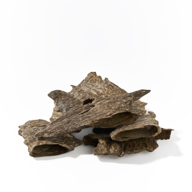 مدهال ترات  ( توله 12جرام )